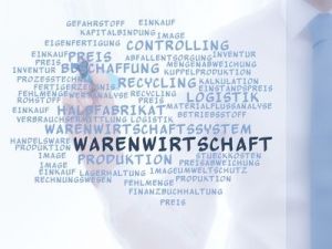 Warenwirtschaftssystem-Onlineshop