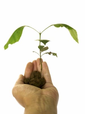 Akademiker Existenzgründung